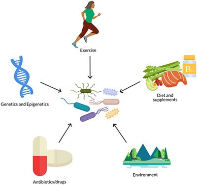 A Review of the Role of the Gut Microbiome in Personalized Sports Nutrition